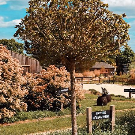 Вилла Manege De La Chapiniere - Dadaloge Tiny-House Chateauvieux  Экстерьер фото